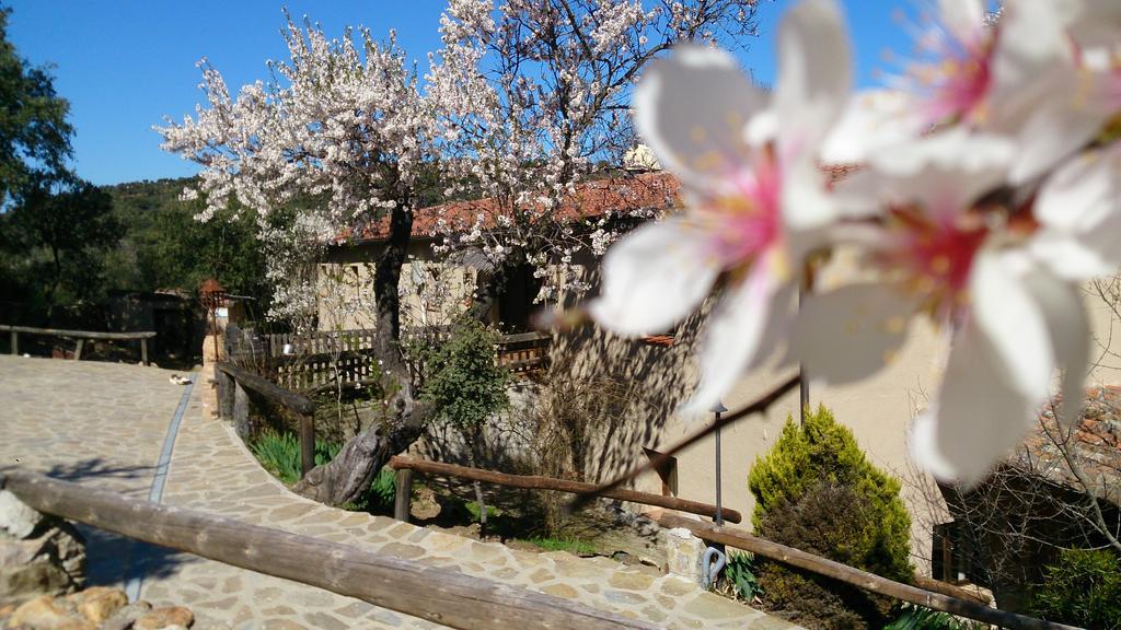 Гостевой дом Valdolazaro Лос-Навалусильос Экстерьер фото